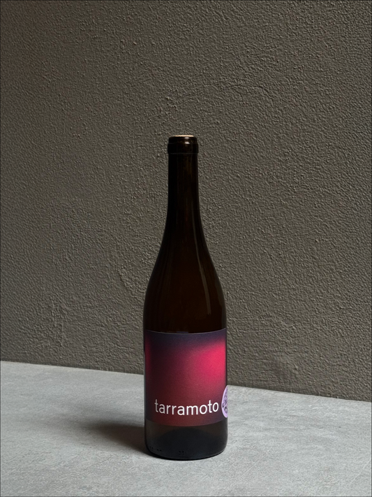 Tarramoto 2024